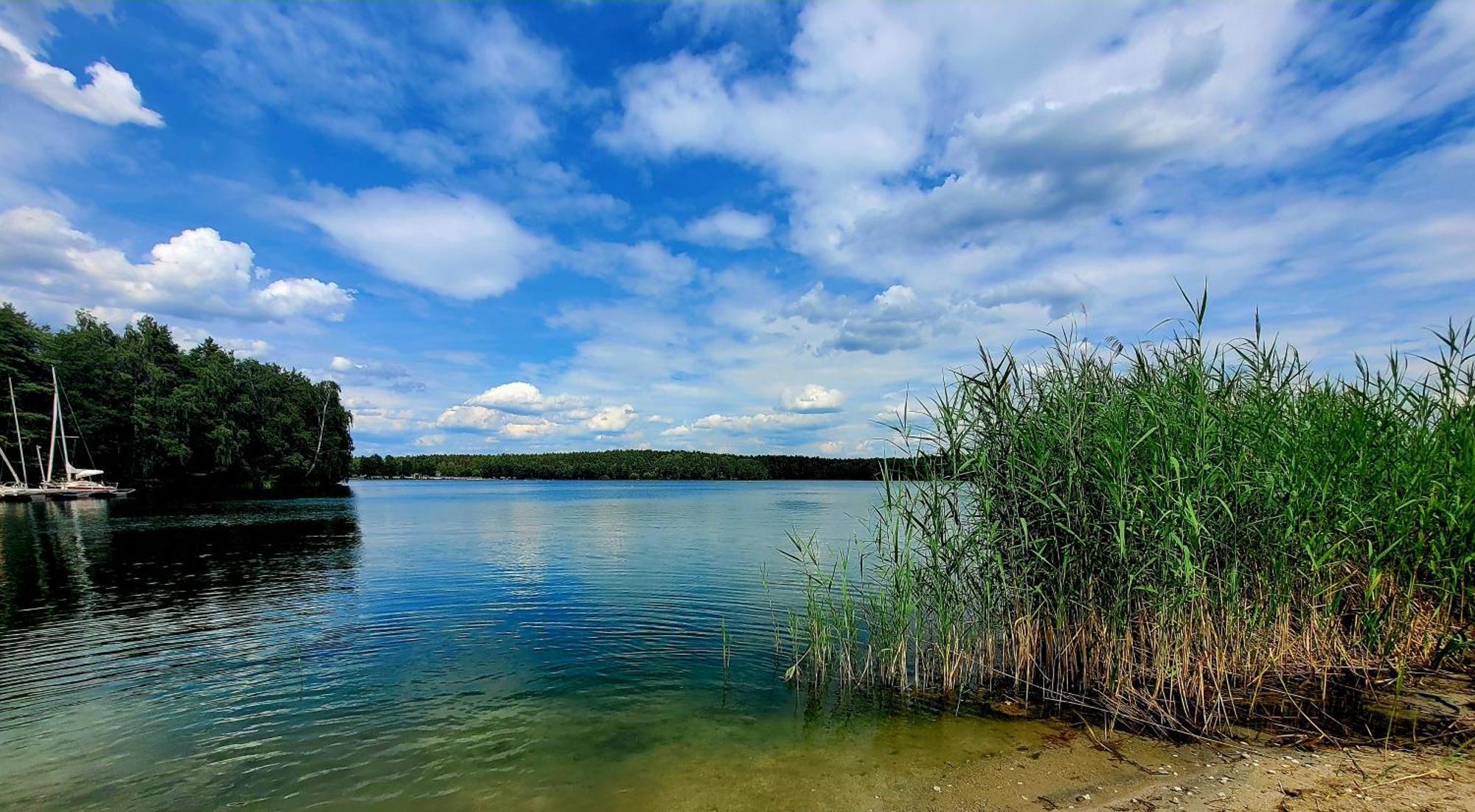 Ferienwohnung Seeglueck Im Oberpfaelzer Seenland Schwandorf in Bayern Exterior foto